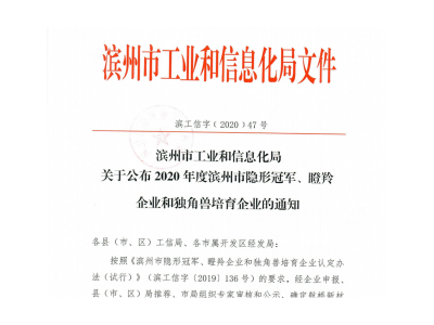 滨州市“瞪羚企业”、“隐形AG凯发官方网站,AG凯发K8国际,AG凯发旗舰厅企业”